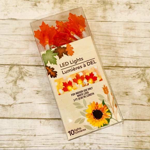 ✨4/$25✨ LED String Lights - Fall Leaves - 10 Lights - Picture 5 of 6
